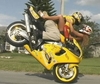 Stunters Foreplay - Click To Enlarge Picture