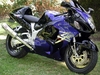 Busa - Click To Enlarge Picture