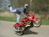 Local Stunt Riders - Click To Download Video