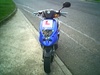 my ped - Click To Enlarge Picture