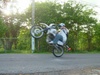 good wheelie - Click To Enlarge Picture