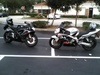 MY GSX &amp; FRIEND - Click To Enlarge Picture