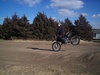 Lame Stoppie - Click To Enlarge Picture