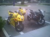a few of the bikes - Click To Enlarge Picture