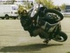 He aint fallin! - Click To Enlarge Picture