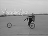 WheelieAlex - Click To Enlarge Picture