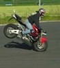 bad stoppie - Click To Enlarge Picture
