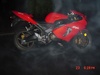 Shauns Zx6r - Click To Enlarge Picture