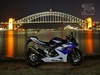 GSXR100 - Click To Enlarge Picture
