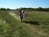 ridin a wheelie - Click To Enlarge Picture