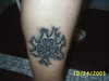 Some of my ink - Click To Enlarge Picture