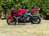 600rr - Click To Enlarge Picture