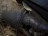 my exhaust blown off - Click To Enlarge Picture
