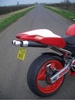 Hornet 600 - Click To Enlarge Picture