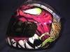 My helmet - Click To Enlarge Picture