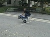 pocketbike wheelie2 - Click To Enlarge Picture