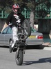 Standing wheelie - Click To Enlarge Picture