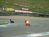 Blackie Knockhill - Click To Enlarge Picture