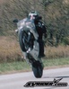 wheelie - Click To Enlarge Picture