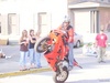 festival stunt show - Click To Enlarge Picture