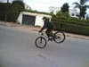 my stoppie - Click To Enlarge Picture