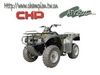 ATVW250CC - Click To Enlarge Picture