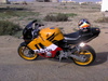 Honda CBR 600 F3 Rep - Click To Enlarge Picture