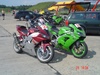 R1&amp;ZX9R - Click To Enlarge Picture