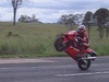 more wheelies - Click To Enlarge Picture