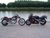shadow vs cbr 600 - Click To Enlarge Picture