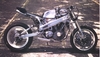Harley Race Bike - Click To Enlarge Picture