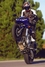 FZ1 Wheelie - Click To Enlarge Picture