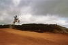 Yz125 Jump - Click To Enlarge Picture