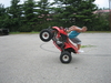 Backward Wheelie - Click To Enlarge Picture
