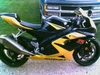 2005 GSXR - Click To Enlarge Picture