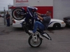 AlleyCAt Stunt Show - Click To Enlarge Picture