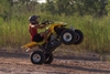 Ridin Wheelie - Click To Enlarge Picture