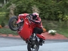 Ducati Wheelie - Click To Enlarge Picture
