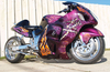 Awesome Painted Busa - Click To Enlarge Picture