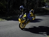 Cbr250rr Stoppie - Click To Enlarge Picture