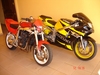 Gixxer & Sister - Click To Enlarge Picture