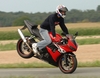Frankys Stoppie - Click To Enlarge Picture