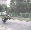 Domier Wheelie - Click To Enlarge Picture