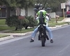 250 Ninja Wheelie - Click To Enlarge Picture