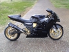 24k Gold ZX12R - Click To Enlarge Picture