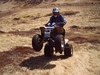 Wheelie Quad - Click To Enlarge Picture