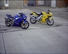 03 ZX6R & 04 SV650 - Click To Enlarge Picture