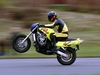 323Kmh Wheelie - Click To Enlarge Picture