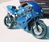 FZR/GSXR - Click To Enlarge Picture
