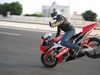 Arabic Stoppie - Click To Enlarge Picture